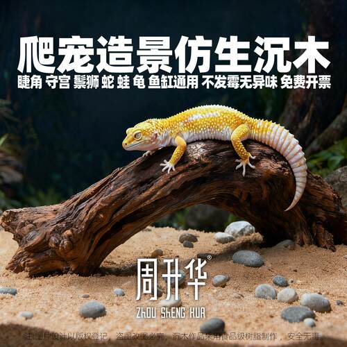 仿生爬宠鱼缸造景小沉木水草树桩一木成景守宫鬃狮睫角蛇攀爬木头