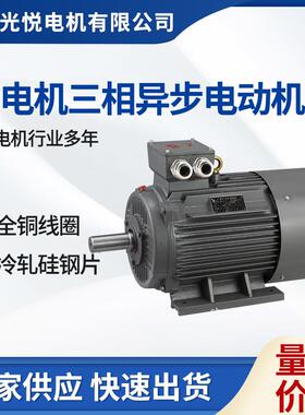 Y225S-37KW-4—H-1490光越轴承船外机光悦船用CCS船级社认证电机