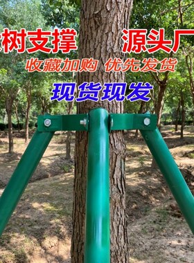 树木支撑架钢管固定器绿色大树支撑杆乔木防风抱箍园林金属树支撑