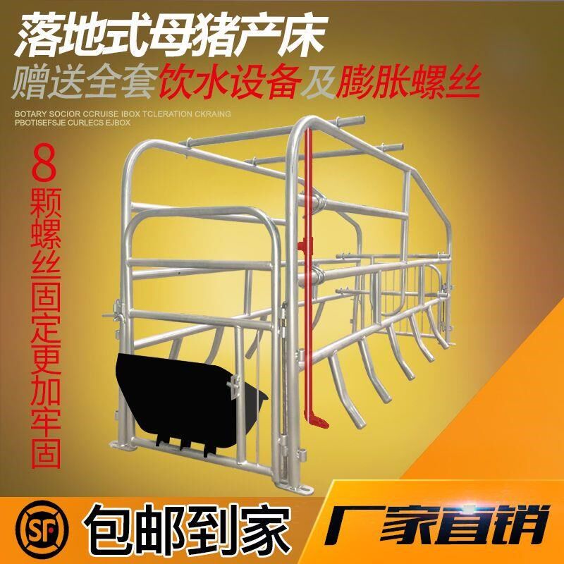 落地式猪产床单一个保育一体上翻猪位简易产保单体栏定位栏产床