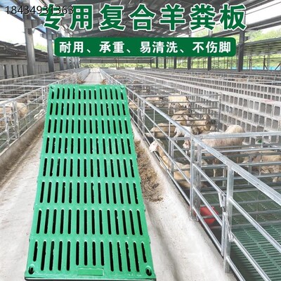 羊床漏粪板羊舍加厚塑料接粪板羊圈养羊H专用产床漏粪板养殖场设