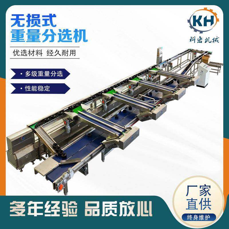 无损式重量分选机菠萝水蜜桃榴莲西瓜智能分选重量分拣,工业油品/胶粘/化学/实验室用品,其他实验室设备,淘宝优惠券,粉丝福利购,淘宝优惠卷