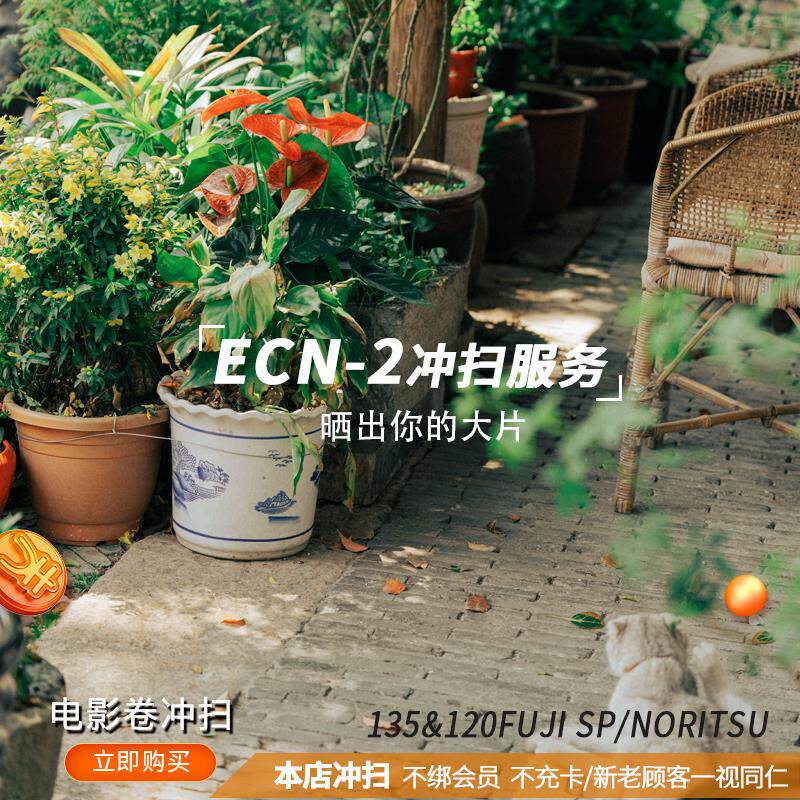 ECN2电影胶片胶卷冲洗扫描冲印135&120底片老照片菲林暗房