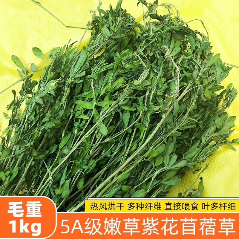 2023今年新草包邮绿色新苜蓿烘烤紫花苜蓿草干草兔粮兔子龙猫荷兰