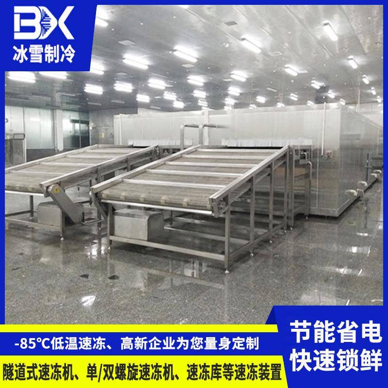 惠州冷冻食品厂速冻机芋圆汤圆饺子速冻设备蛋挞皮面食速冻机