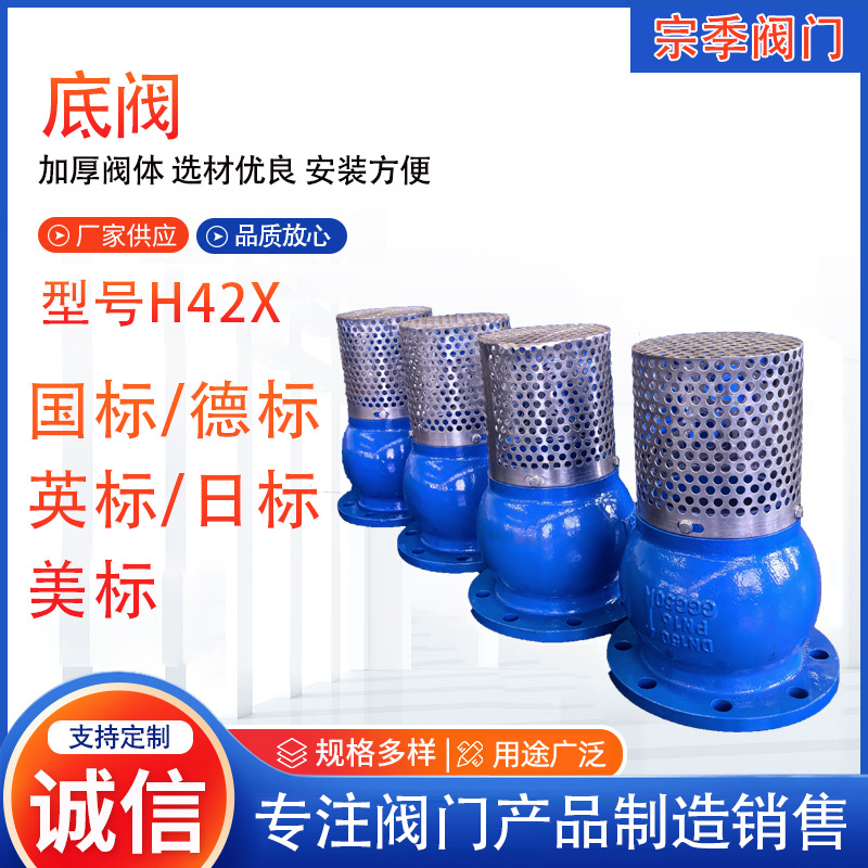 德标H42X底阀球墨铸铁单法兰底阀H42T过滤网底阀止回阀 厂家供应