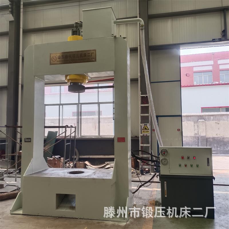 实体厂家非标定制100T200T315T500T龙门液压机板材压制成型油压机