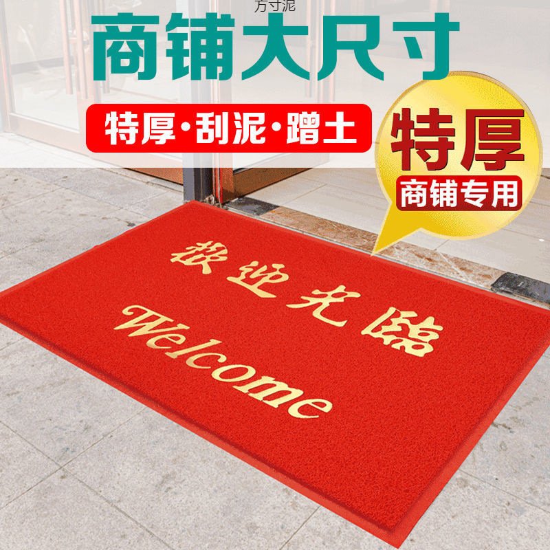 丝圈地垫出入地垫入户脚垫进门酒店宾馆欢迎光临地毯厂供应链