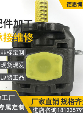 叶片泵PVV1-1X/027RA15RMB液压泵PVV1-1X/027RA15UMB塑机泵