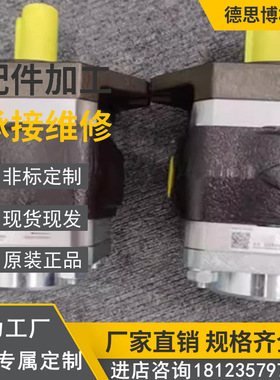 ECKERLE艾可勒液压齿轮油泵EIPH2-004/005/006/008/011RK00-10/11