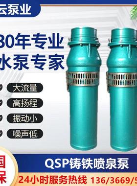 广州白云泵业喷泉泵QSP水景园林景观专用潜水泵QS音乐喷泉泵380V