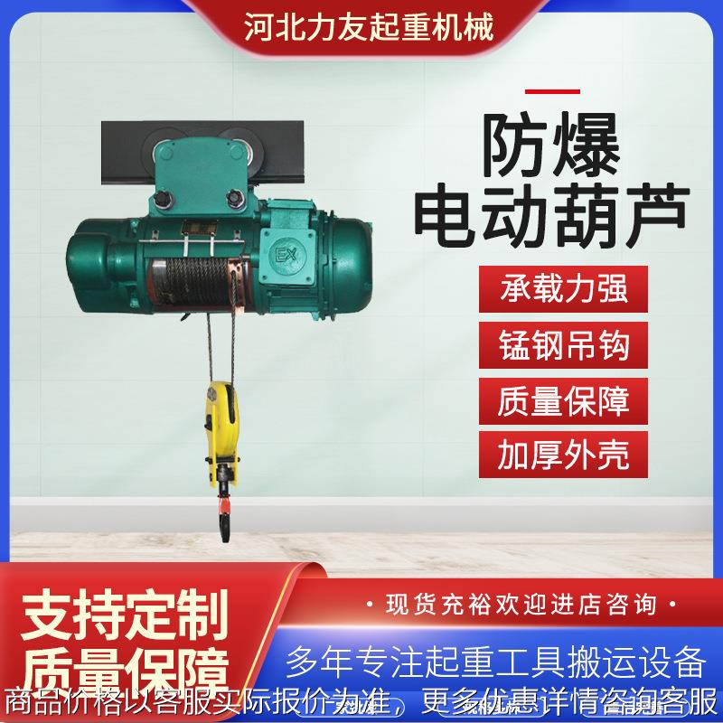 BCD防爆钢丝绳电动葫芦 BT4 CT4 防爆电动葫芦起重防爆葫芦厂家