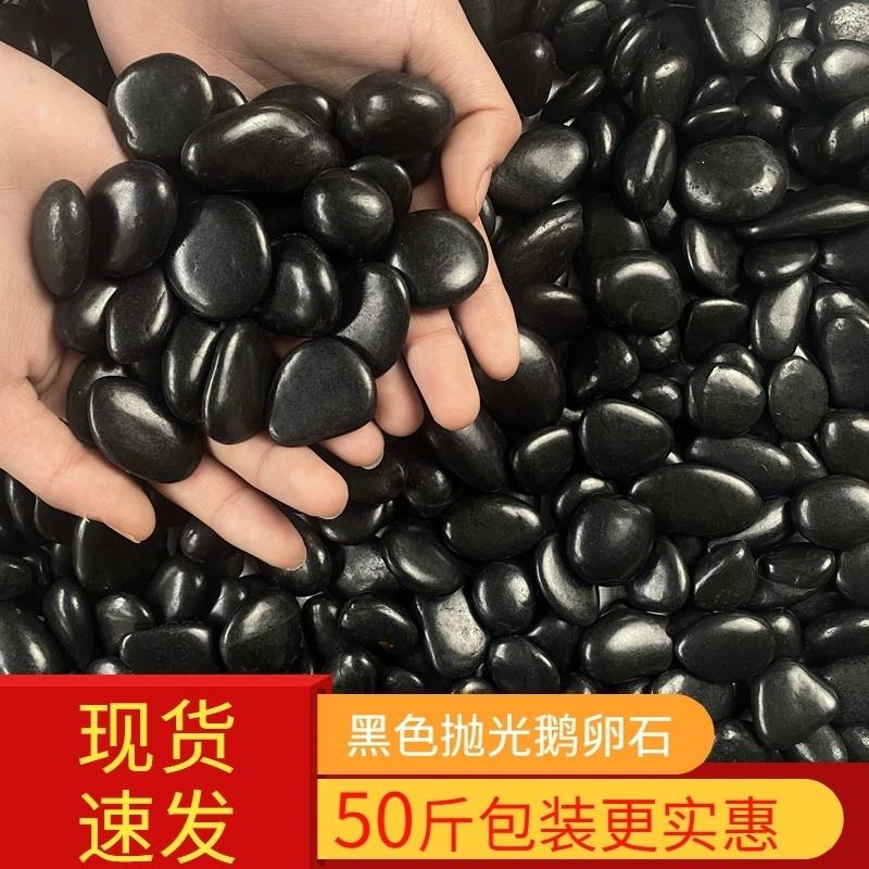 庭院黑石子花盆鱼缸铺路黑色鹅卵石花园造景兰花绿植铺面石盆栽