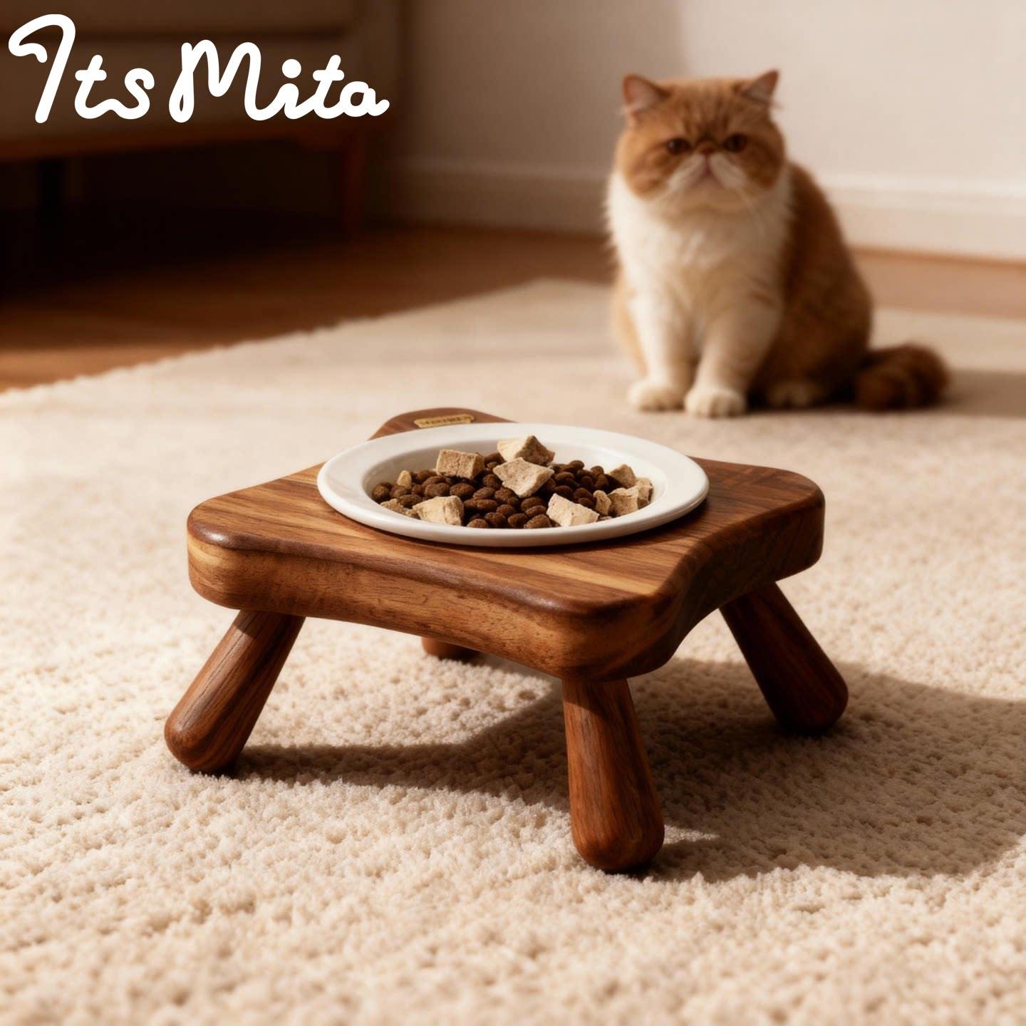 Its Mita实木餐桌猫狗陶瓷碗饭盆防打翻护颈增高木质碗架