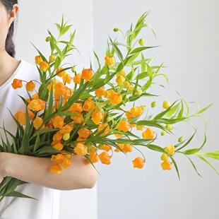 日本宫灯百合进口鲜花速递春节年宵花喜庆灯笼果室内水养花材包邮