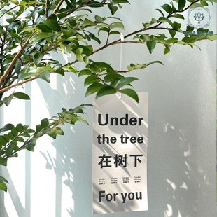 美男树水养鲜切植物枝条水培客厅真树枝绿M植盆栽吊钟马醉木顺丰