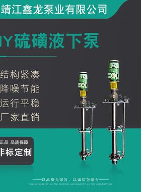 LHY型立式保温硫磺液下泵（液硫泵）厂家可定制