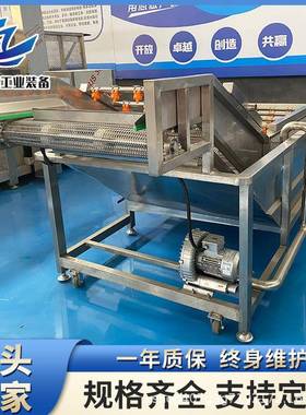 佛手瓜苗气泡清洗机304不锈钢大型全自动水槽清洗设备食品机械