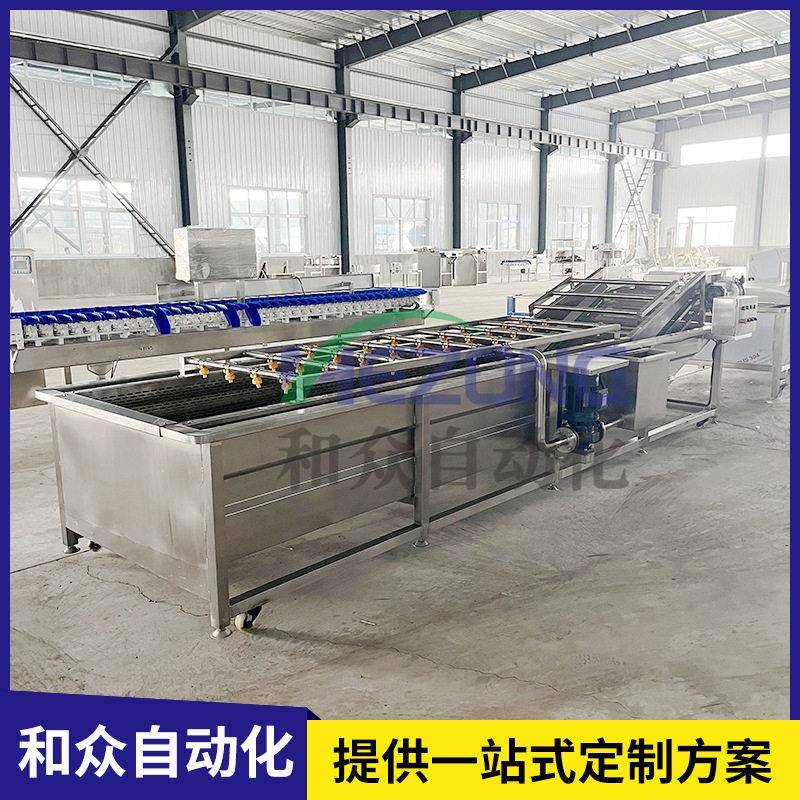 西蓝花气泡清洗机生姜土豆红薯萝卜竹笋水果蔬气泡清洗设备厂家