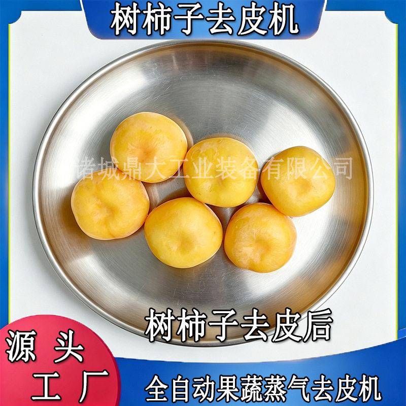 树柿子蒸汽去皮机红薯马铃薯通用食品厂蒸汽爆皮去皮机械设备