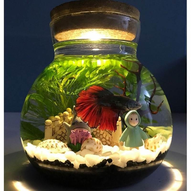 鱼缸小生态瓶微景观水族箱造景斗鱼缸办公桌面书桌客厅观赏玻