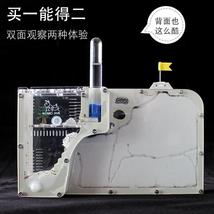 工坊繁殖城堡蚂蚁生态箱庄园生态盒蚁巢套装儿童送蚁后蚂蚁王国