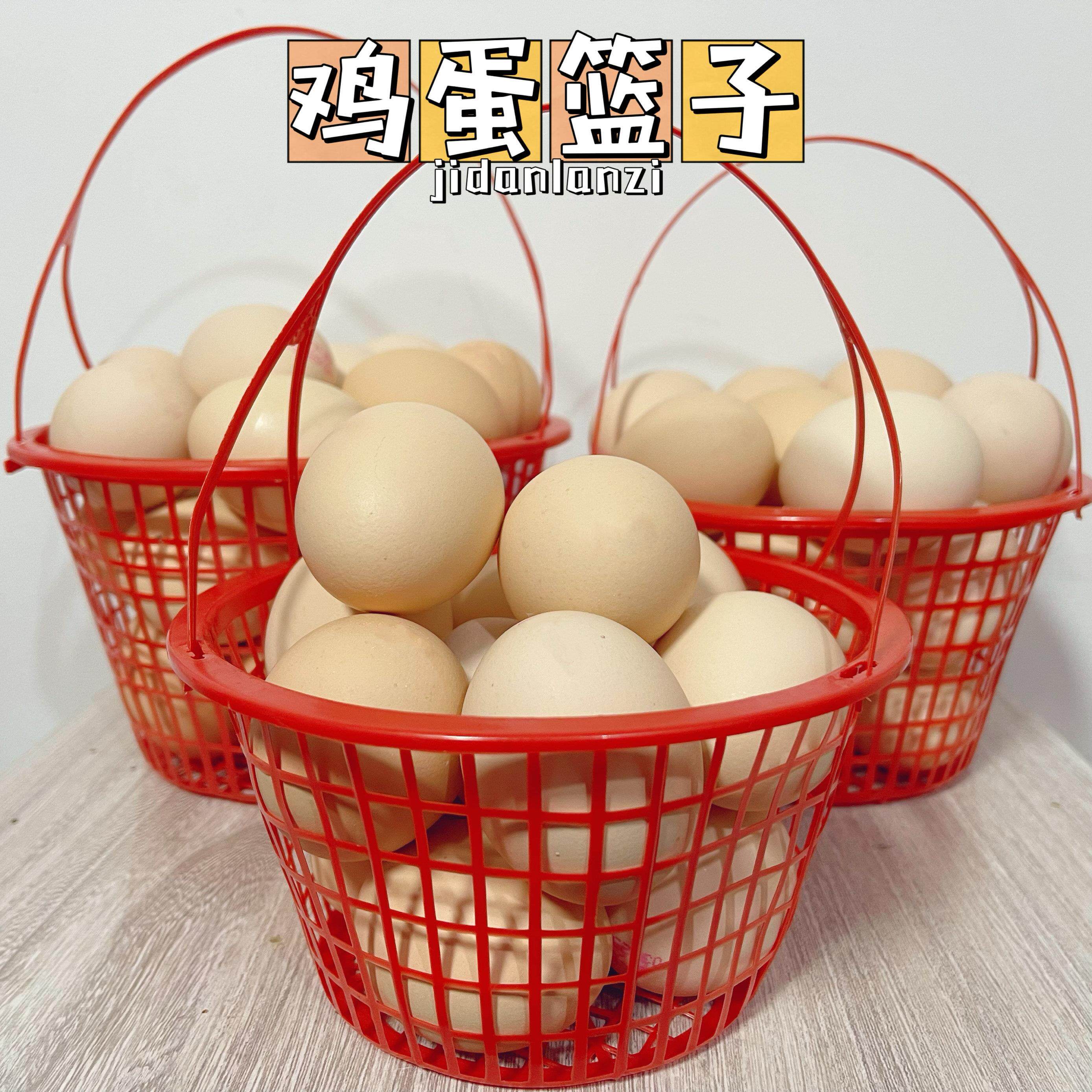 圆形方形塑料手提鸡蛋鸭蛋篮杨梅桑葚小樱桃枇杷采摘篮镂空