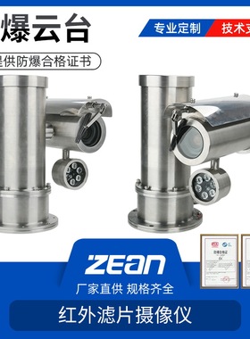 防爆摄像机AQX-2XE50225A高清30米红外304不锈钢外壳 防爆监控