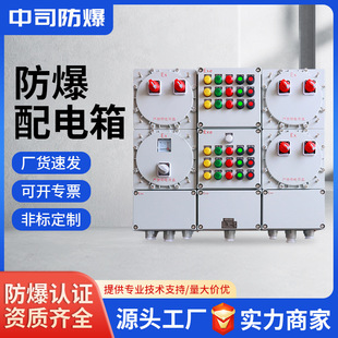 防爆箱防爆控制箱碳钢铝合金防爆接线箱多回路照明动力配电箱定做
