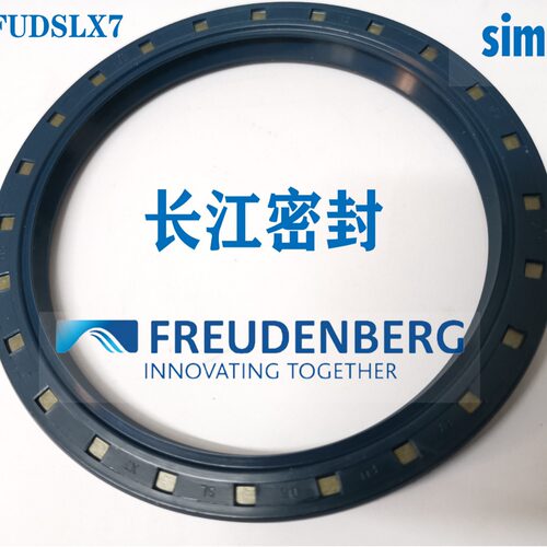FREUDENBERG CFW油封50*62*7  100-120-12 170-200-15双唇BAFU5DS
