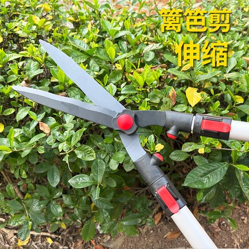 园艺剪刀剪树枝专用剪刀修枝剪花剪修剪树枝剪刀剪草伸缩绿篱剪刀