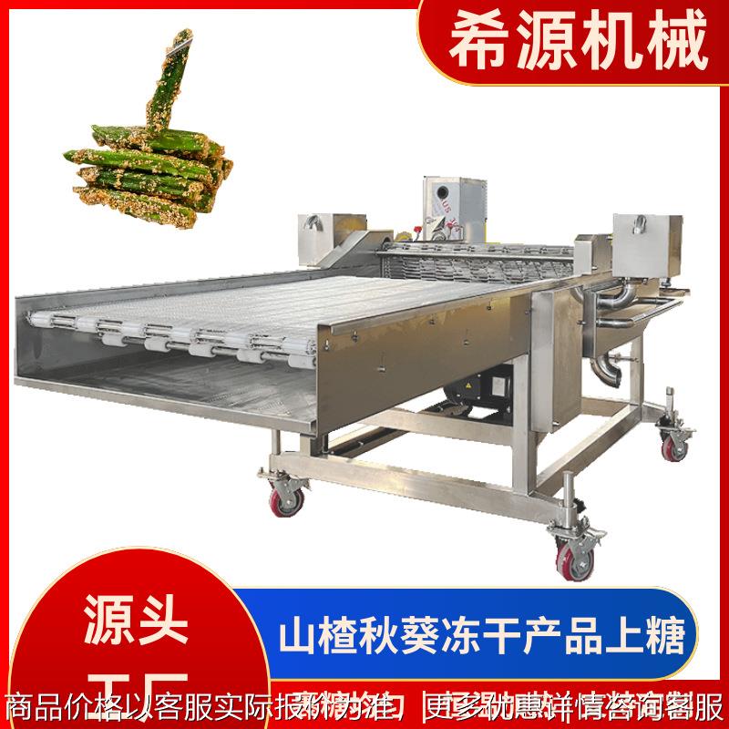深加工冻干草莓裹麦芽糖稀机器 全自动冻干山楂上糖机 带保温
