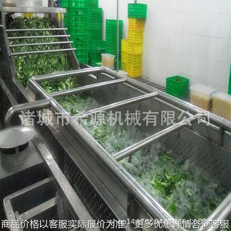 实用型2019 藕带清洗机 藕苗气泡清洗机 藕带加工设备制作厂家