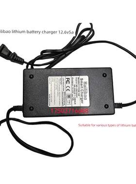 海力宝锂电池充电器12.6V5A锂电池专用充电器锂电池瓶专用充电器
