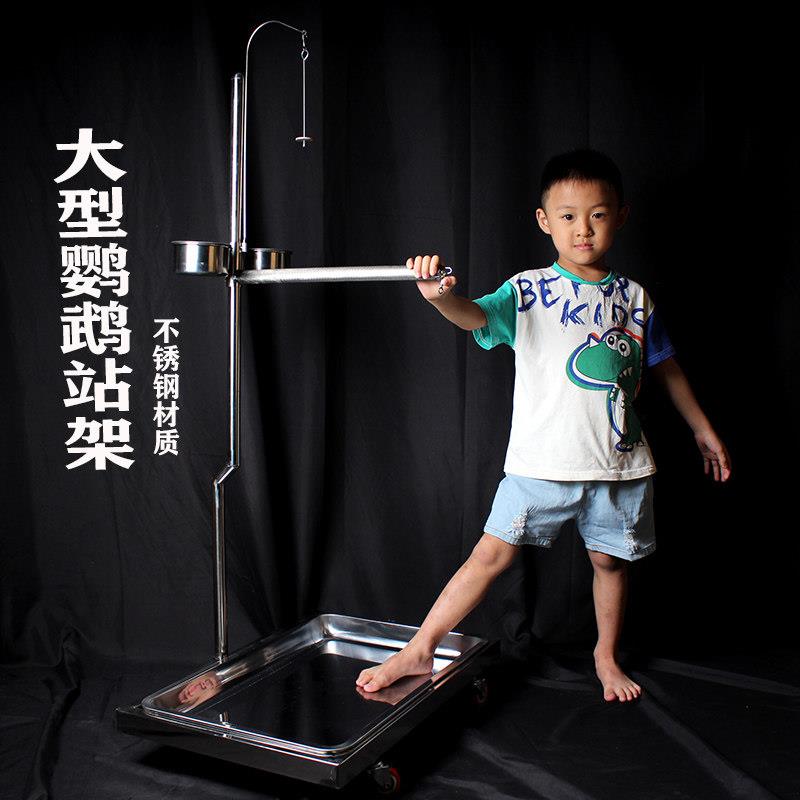 鹦鹉站架大型双鸟鹦鹉鸟架不锈钢架子栖息架子架养落地鹦鹉7字架