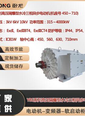 TBYBP、TYP高压高效变频三相永磁同步电动机