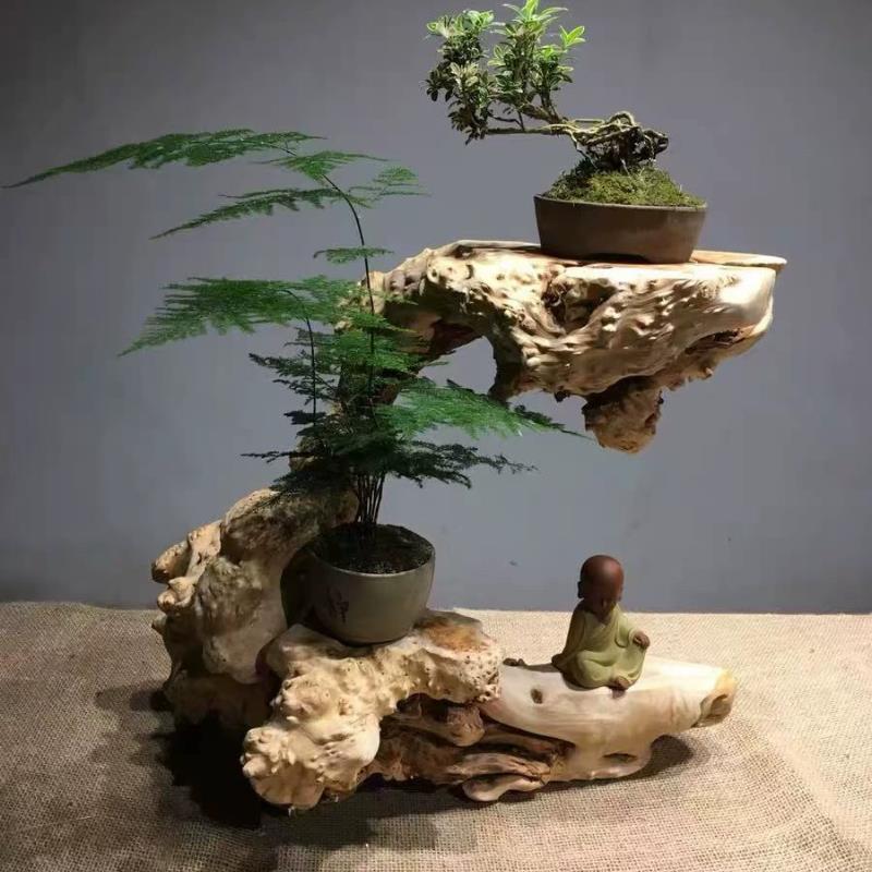 天然实木树根雕奇石底座绿植花卉陶瓷佛像花瓶花盆栽摆件随形托架