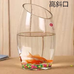 斜口水培植物玻璃花瓶透明培桌面摆设办公室桌面婚庆水养植物包邮