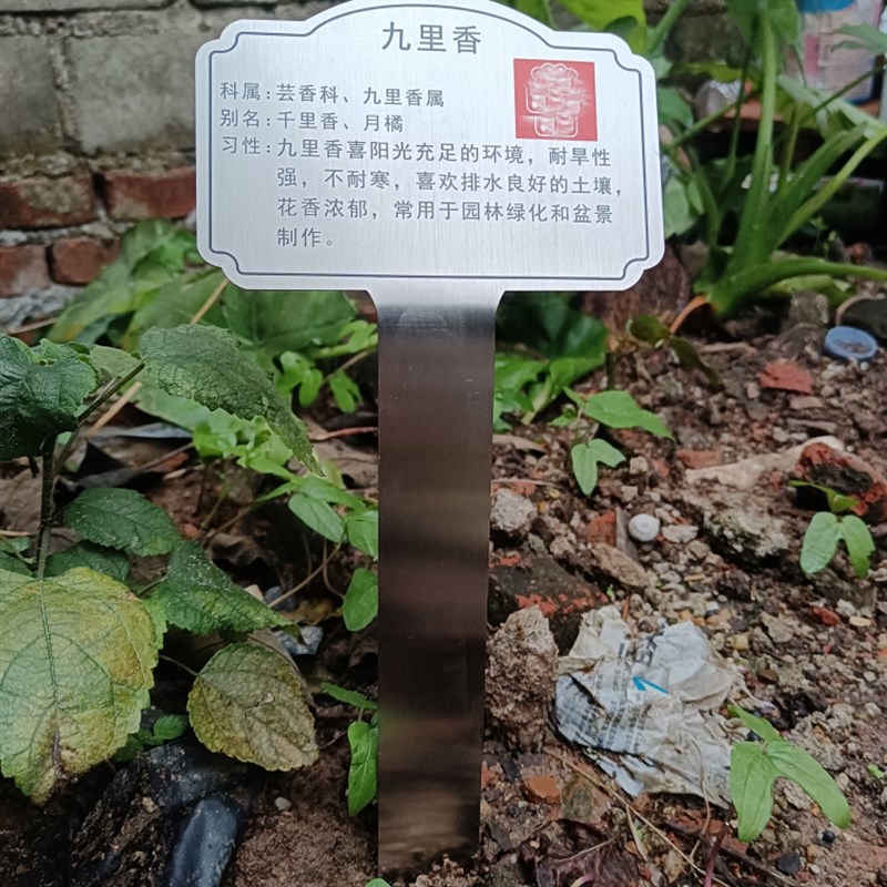不锈钢树牌定制二维码园林u标牌育苗牌植物花草牌插地牌挂牌绿化