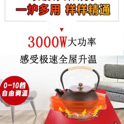 多功能烤火炉小型取暖器家用节能做饭可调温电炉子电暖烧烤电火盆