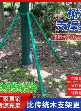 树木支撑架钢管固定器绿色大树支撑杆乔木防风抱S箍园林金属树支
