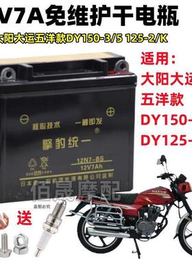 大阳大运五洋款DY150-3/5机车免维护蓄电池12V7A全新干电瓶3A