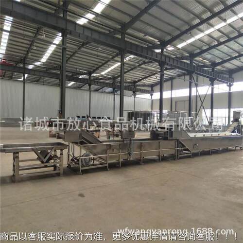 山野菜蒸煮产价格 sus家304蔬菜漂烫蒸煮机生厂 机可FX-800加工定