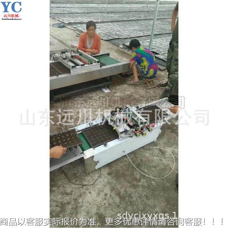 盘播穴机  穴盘种育YSN苗机 每小时可播800盘针吸式育苗播籽机,农机/农具/农膜,播种栽苗器/地膜机,淘宝优惠券,粉丝福利购,淘宝优惠卷