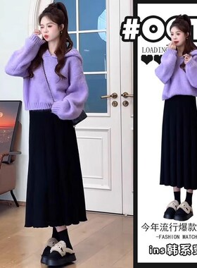 紫色连帽针织衫毛衣女2024秋冬B新款时尚洋气减龄高腰半身裙两件