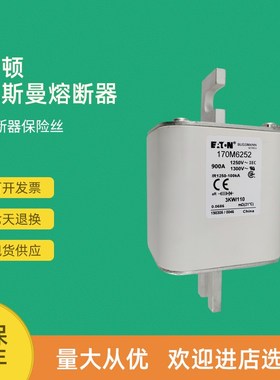 全新快速熔断器保险h170M6258 170M6259 170M6260 170M6261