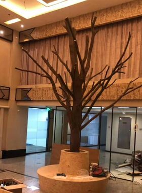 森系带香樟树干枝m造型酒吧餐厅枯木摆件漫咖啡厅装饰干树枝去皮