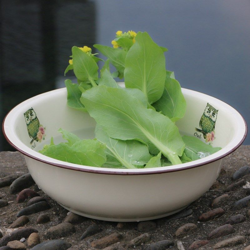 搪瓷盆 儿童卡通洗脸盆 加厚搪瓷碗洗菜盆 婴儿洗pp盆 女生搪瓷盆,餐饮具,盆,淘宝优惠券,粉丝福利购,淘宝优惠卷