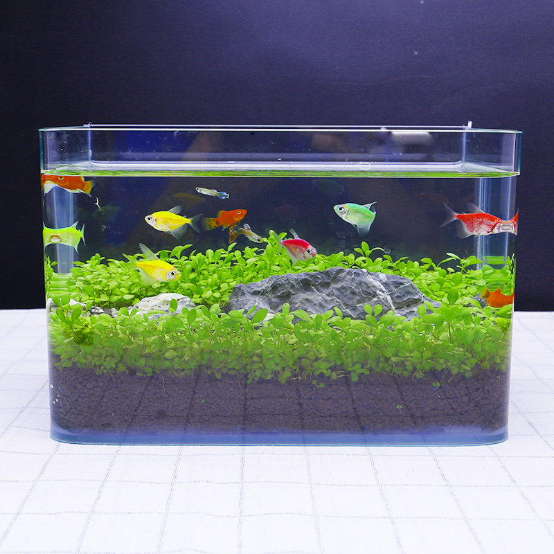 桌面小型高清玻璃鱼缸生态造景水草泥微景观客厅生态草缸