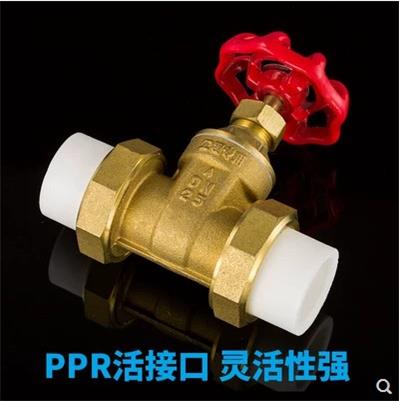 4分6分20PPR铜闸阀 PPR阀门双头活接铜球截止阀门PPR水管管件配件